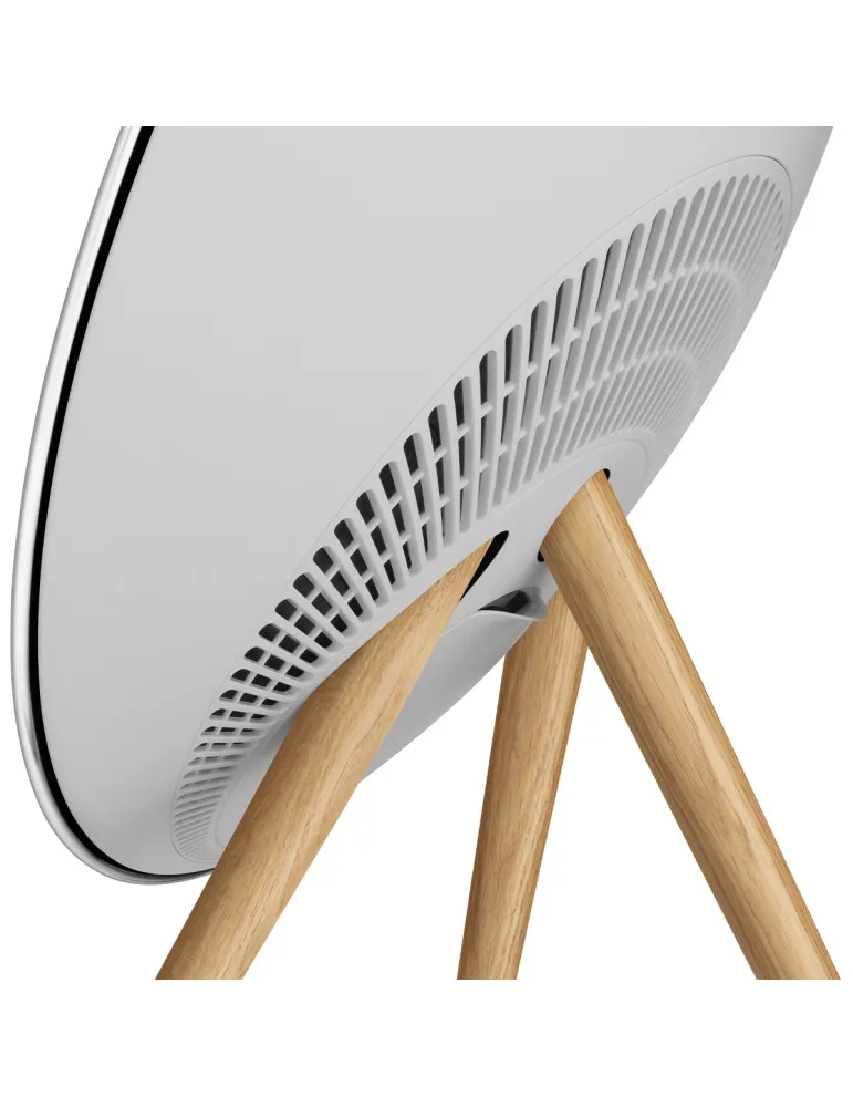 Beosound A9 5th GEN | Ikoniczny dźwięk | BANG & OLUFSEN