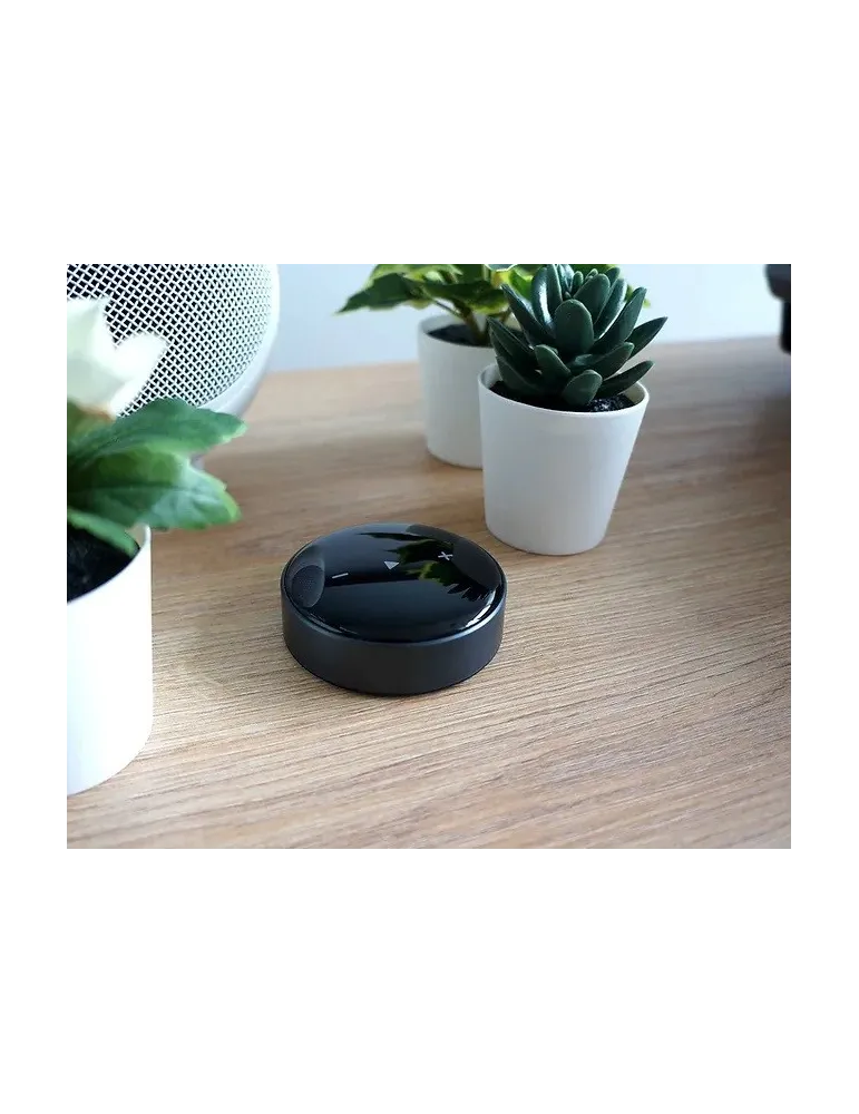 Odbiornik Wi-Fi Elipson WM Multiroom | Wszechstronny streaming