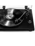 Argon Audio TT-3 | Nowoczesny gramofon dla audiofilów