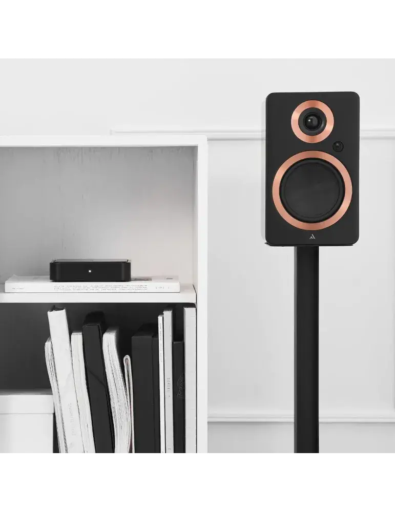 Argon Audio Solo | Streamer muzyczny | Najlepszy dźwięk Hi-Fi