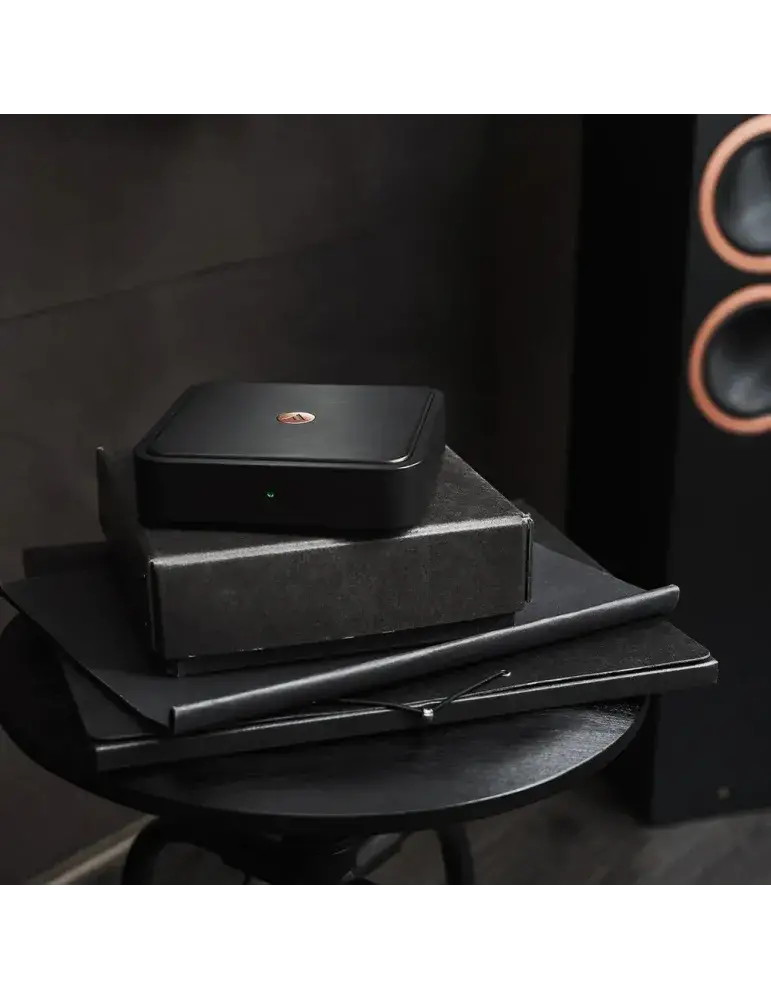 Argon Audio Solo | Streamer muzyczny | Najlepszy dźwięk Hi-Fi