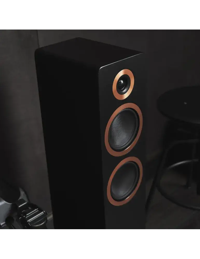 Argon Audio Forte A55 Mk2 | Kolumny aktywne z mocnym brzmieniem
