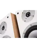Wilson Six — Kolumny podłogowe 130W z magnesami neodymowymi