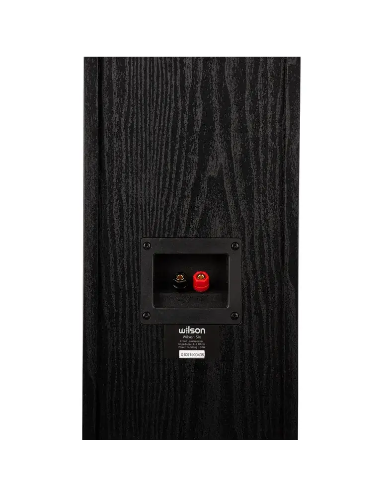 Kolumna głośnikowa Wilson Six | Uniwersalny dźwięk dla audiofilów