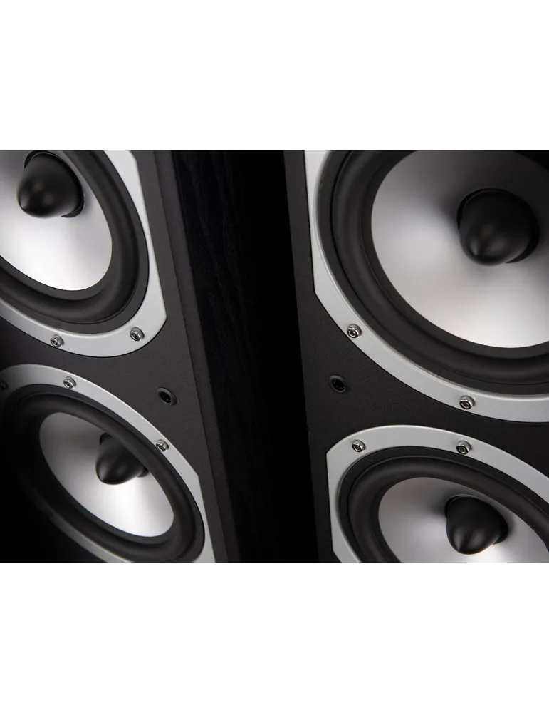 Kolumna głośnikowa Wilson Six | Uniwersalny dźwięk dla audiofilów