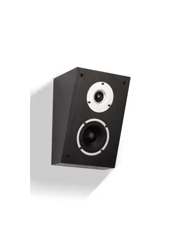 Wilson Raptor X — Kolumny głośnikowe Dolby Atmos do kina domowego