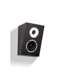 Wilson Raptor X — Kolumny głośnikowe Dolby Atmos do kina domowego