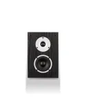 Wilson Raptor X — Kolumny głośnikowe Dolby Atmos do kina domowego