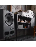Vestlyd V12C Kolumna | ARGON AUDIO | Wyjątkowy dźwięk