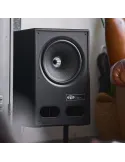 Vestlyd V12C Kolumna | ARGON AUDIO | Wyjątkowy dźwięk