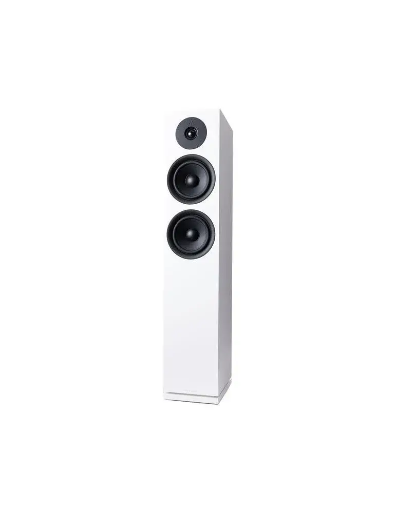 Argon Audio Forus 55  Kolumna głośnikowa podłogowa