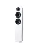 Argon Audio Forus 55  Kolumna głośnikowa podłogowa