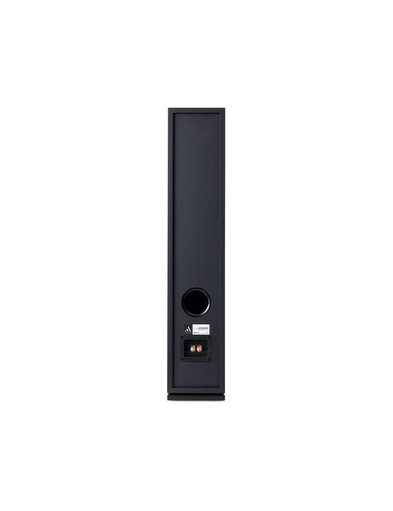 Argon Audio Forus 55  Kolumna głośnikowa podłogowa
