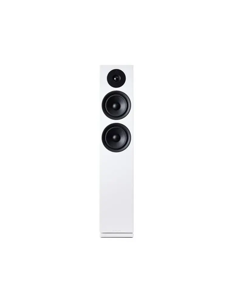 Argon Audio Forus 55  Kolumna głośnikowa podłogowa