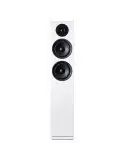 Argon Audio Forus 55  Kolumna głośnikowa podłogowa