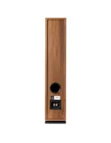 Argon Audio Forus 55  Kolumna głośnikowa podłogowa