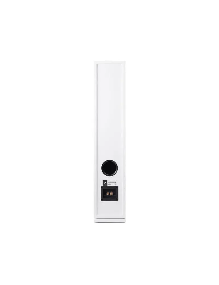 Argon Audio Forus 55  Kolumna głośnikowa podłogowa