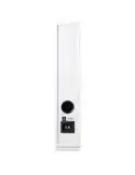 Argon Audio Forus 55  Kolumna głośnikowa podłogowa