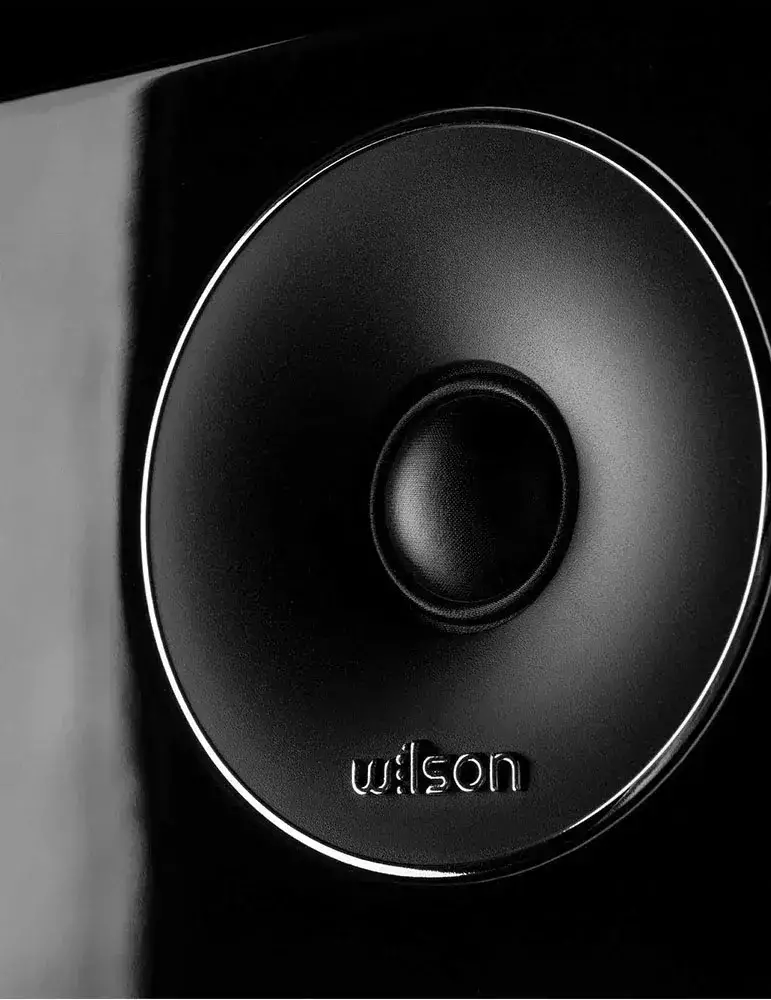 Kolumny podłogowe Wilson EL-8 | Elegancja i nowoczesność