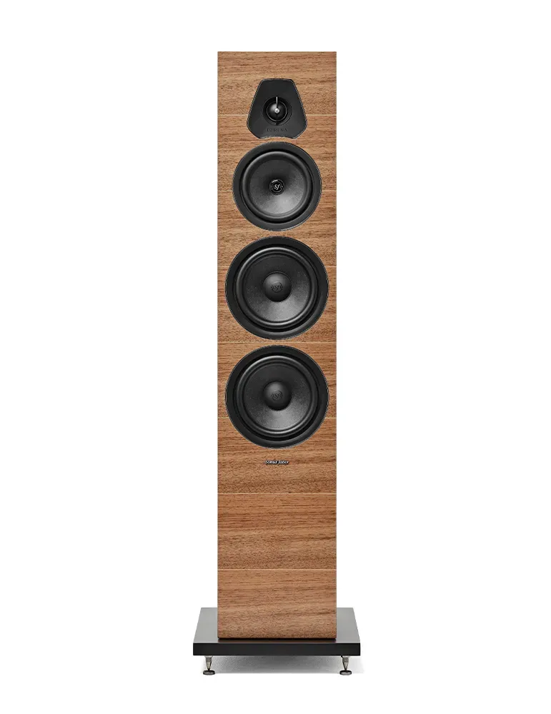 Kolumny podłogowe Sonus Faber Lumina V | Wyjątkowy dźwięk