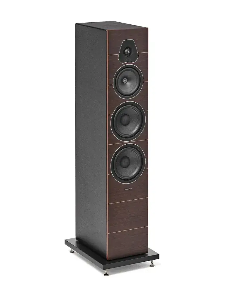 Kolumny podłogowe Sonus Faber Lumina V | Wyjątkowy dźwięk