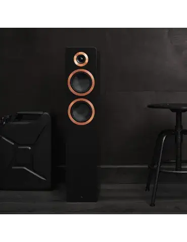 Argon Audio Forte A55 | Aktywne kolumny WiFi | Wyjątkowy dźwięk 2