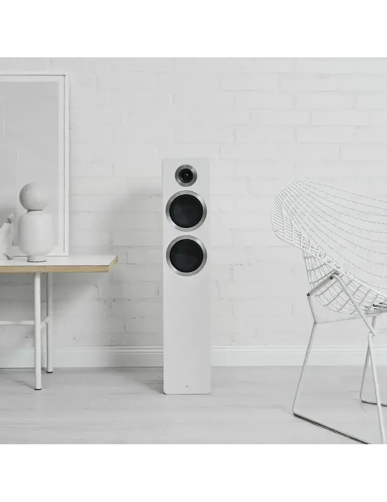 Argon Audio Forte A55 | Aktywne kolumny WiFi | Wyjątkowy dźwięk