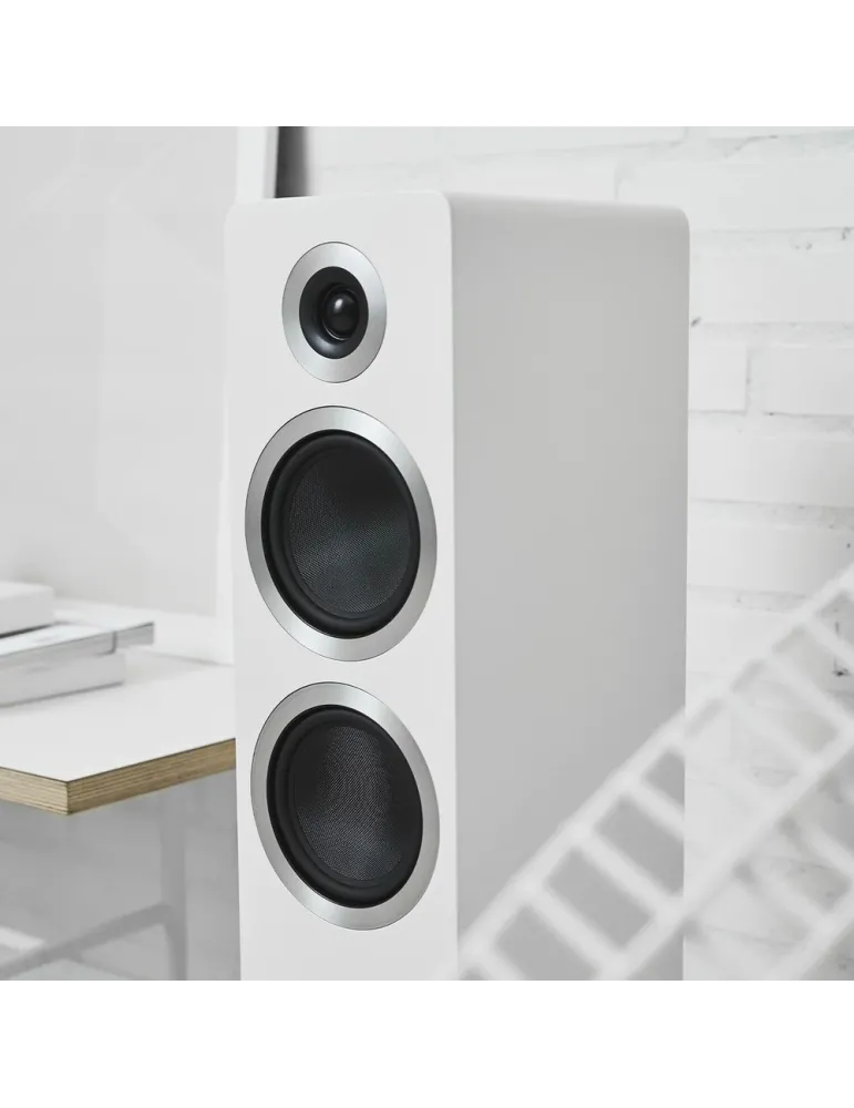 Argon Audio Forte A55 | Aktywne kolumny WiFi | Wyjątkowy dźwięk