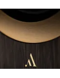 Argon Audio Forte A4 | Aktywne głośniki WIFI | Para