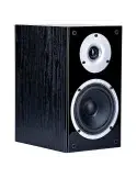 Wilson Raptor 1 — Kolumny podstawkowe do profesjonalnego audio