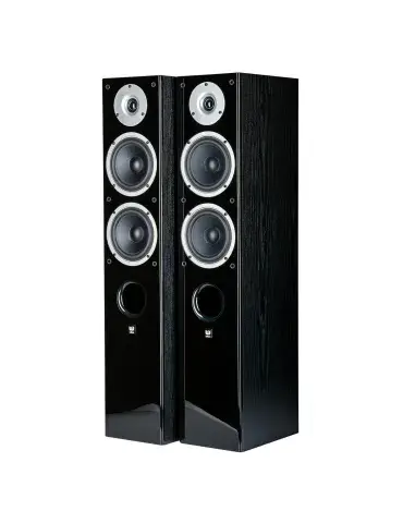 Wilson Raptor 5 — Kolumny podłogowe z bass reflex 150W 88dB