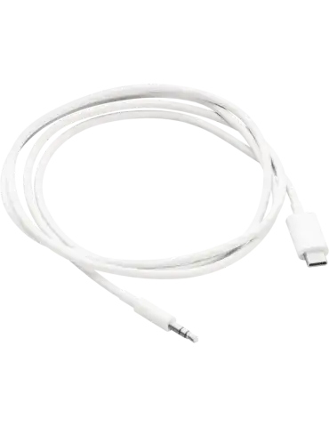 Kabel pomocniczy Sonos Ace | USB-C do 3,5 mm | SONOS