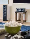 Polk Audio T50 — Wysokiej jakości kolumny podłogowe do domu