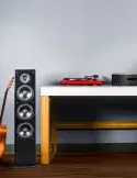 Polk Audio T50 — Wysokiej jakości kolumny podłogowe do domu