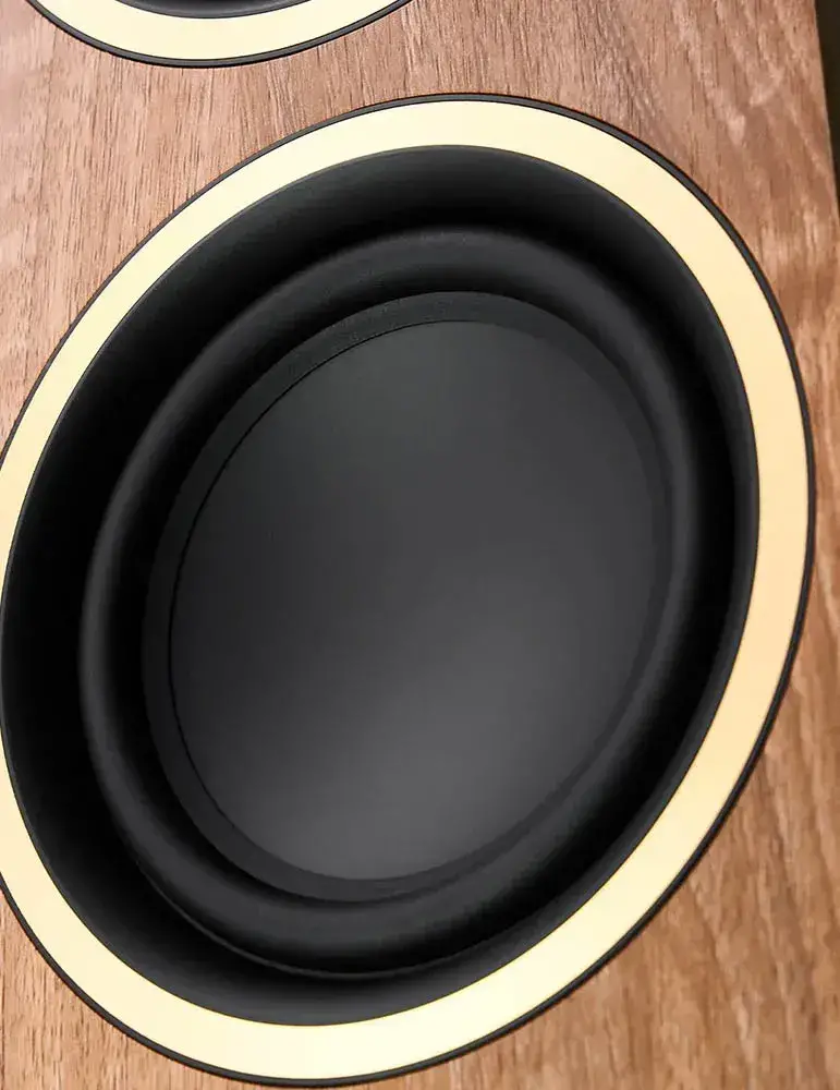 Argon Audio Fenris A55 | Aktywne kolumny z wyjątkowym dźwiękiem