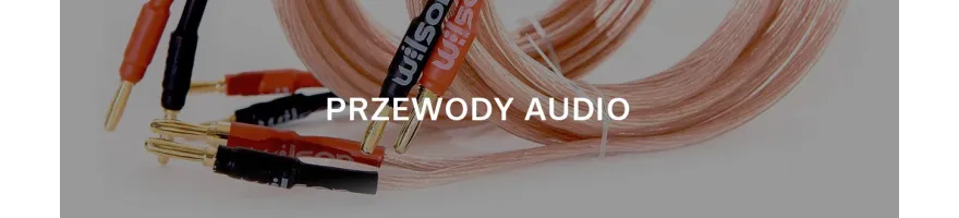 WILSON - PRZEWODY AUDIO