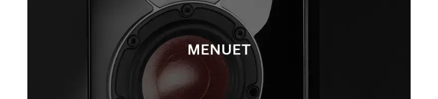 DALI MENUET 🎵 – Kompaktowe kolumny premium | Perfekcyjne hi-fi