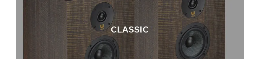 WILSON - CLASSIC