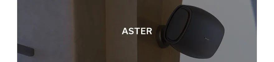 SONUS FABER - ASTER