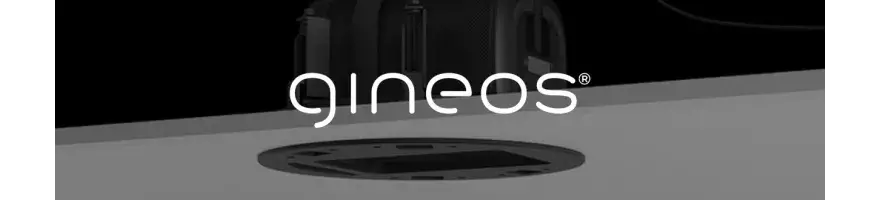 🎶 Gineos - Innowacyjne rozwiązania do montażu głośników SONOS i Denon 🎶